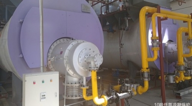 Low nitrogen gas condensing boiler
